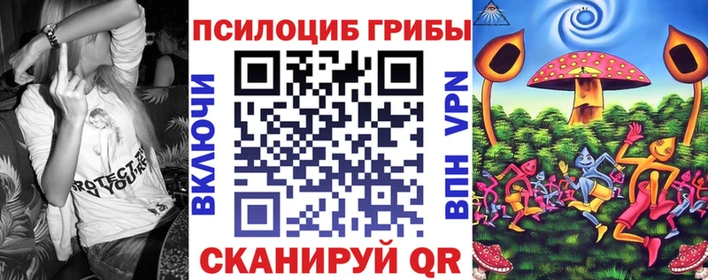 купить   Сургут  Галлюциногенные грибы мицелий 